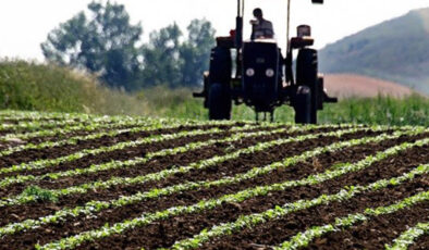 FAO’dan Türkiye’ye 8,1 milyon dolarlık kaynak