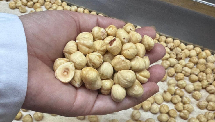 Fındık ihracatı geliri açıklandı