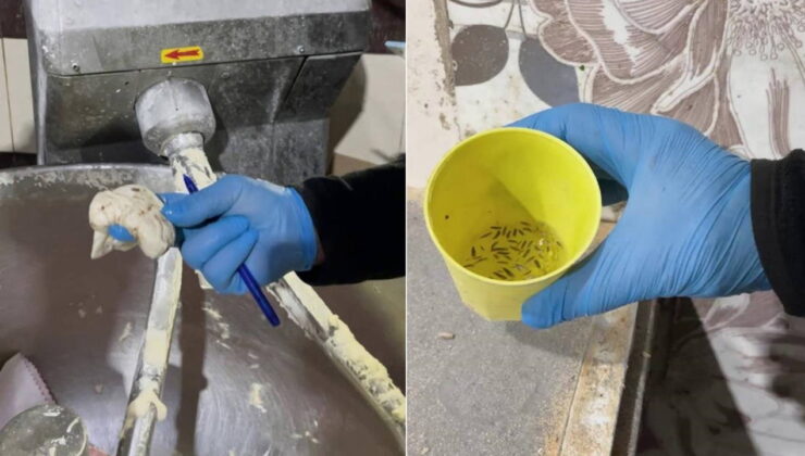 Fırın denetiminde mide bulandıran görüntüler: Zabıta iki işletmeyi mühürledi!