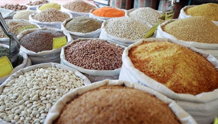 Güneydoğu’dan 2,9 milyar dolarlık hububat ihracatı