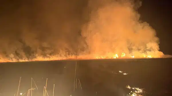 Hakkari ‘kuş cenneti’nde korkutan yangın! Ekiplerin müdahalesi devam ediyor