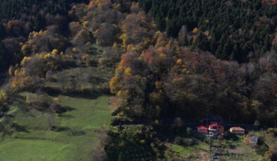 Hamsiköy sonbaharda renk cümbüşüne büründü