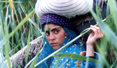 Hayatın Renkleri filminin konusu ne? Hayatın Renkleri filminin oyuncuları kim?