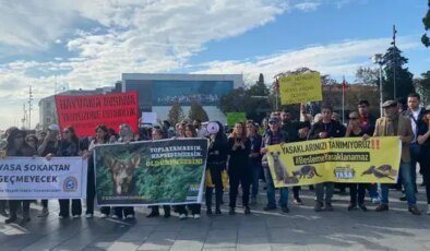 Hayvanseverlerden ‘besleme yasağı’na tepki: ‘Yaşama hakkı engellenemez’