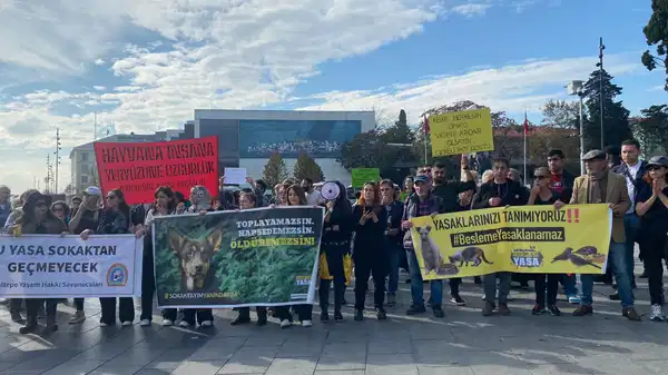 Hayvanseverlerden ‘besleme yasağı’na tepki: ‘Yaşama hakkı engellenemez’