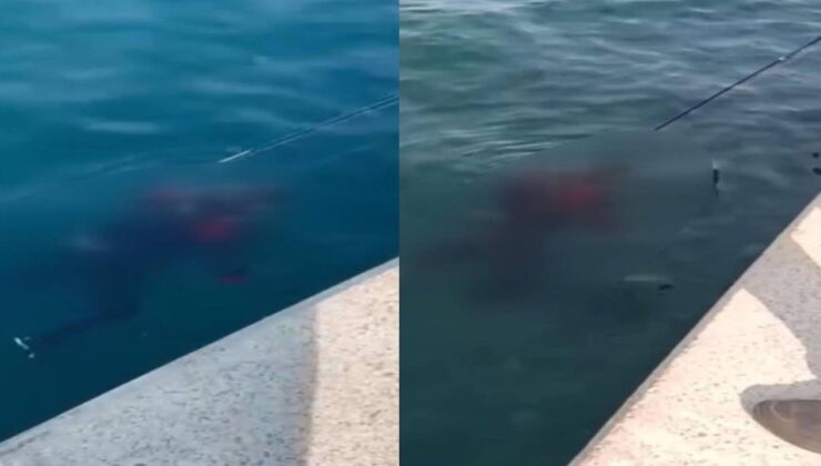 İstanbul Beykoz’da korkunç anlar: Balık tutarken oltaya ceset takıldı!