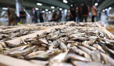 İstanbul’da, 14 bin tona yakın balık satışa sunuldu! En pahalı türler sıralandı