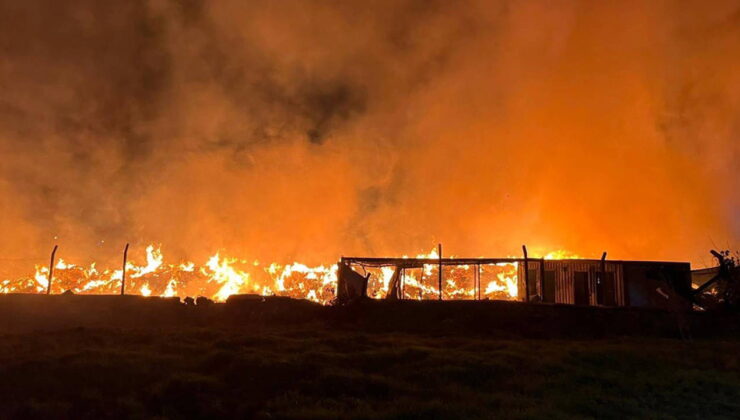 İzmir’de çöp depolama alanında çıkan yangın rüzgarın etkisiyle büyüdü
