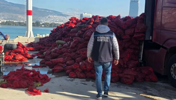 İzmir’de kaçak avlanan 27 ton kara midye ele geçirildi