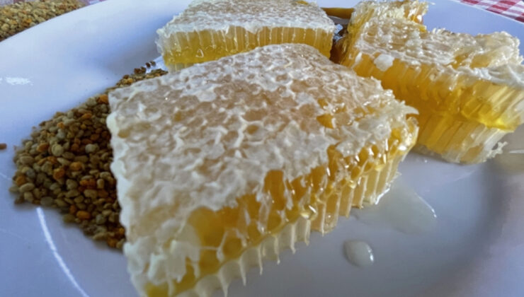 Karabük’ün Yenice Ihlamur Balı’na AB’den coğrafi işaret tescili