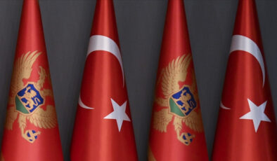 Karadağlı siyasetçi Cikotic: Türkiye’den özür dilemeliyiz