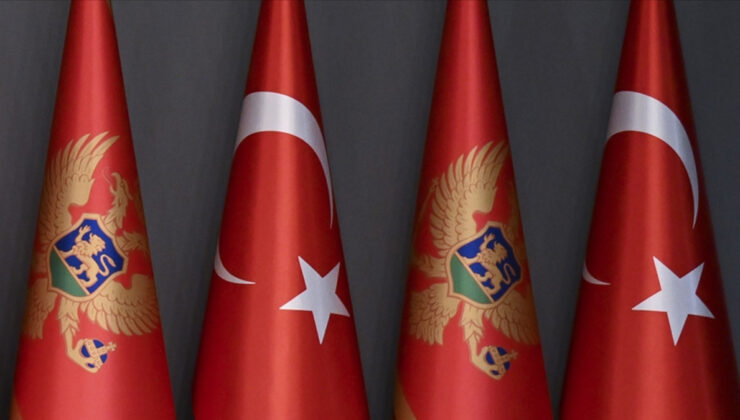 Karadağlı siyasetçi Cikotic: Türkiye’den özür dilemeliyiz