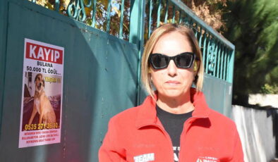 Kayıp köpeğini bulana 50 bin lira ödül verecek