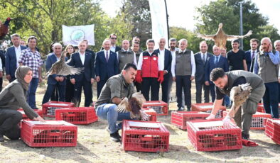 Kene ve kokarcaya karşı 36 bin keklik doğaya salındı