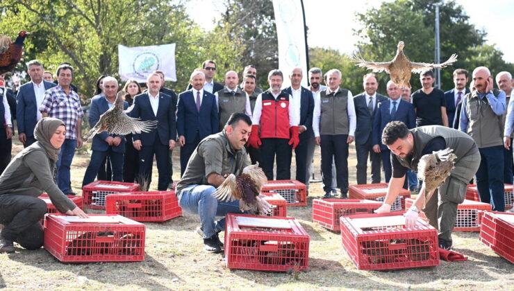 Kene ve kokarcaya karşı 36 bin keklik doğaya salındı