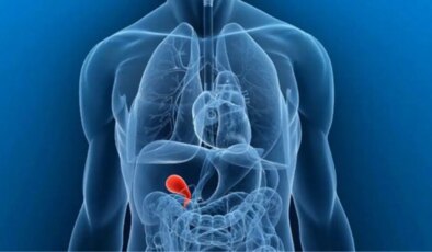 Kışın safra kesesi sorunları ile ilgili uyarı: ‘Geçmeyen karın ağrısına dikkat’