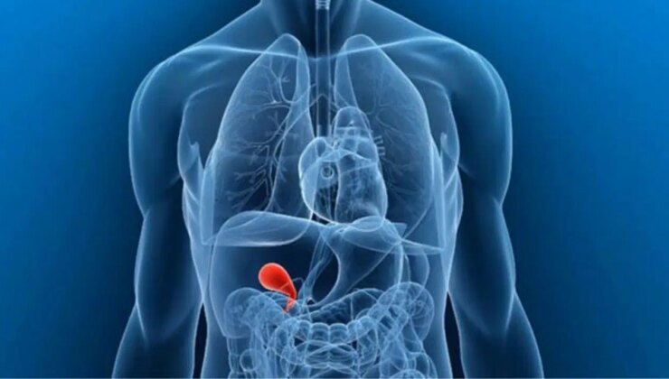 Kışın safra kesesi sorunları ile ilgili uyarı: ‘Geçmeyen karın ağrısına dikkat’