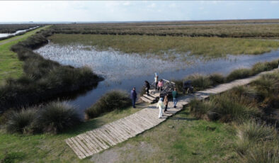 Kızılırmak Deltası Kuş Cenneti ziyaretçilerini bekliyor