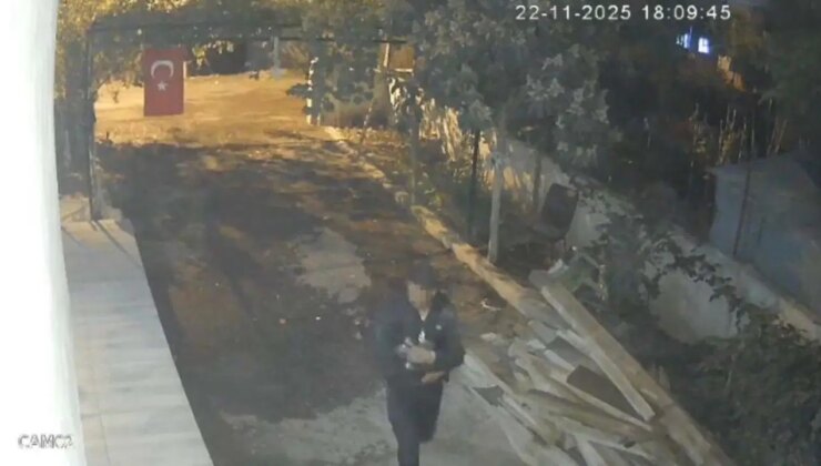 Komşusunun ‘mavi’ yumurtlayan tavuklarını tişörtünün içine koyarak çaldı!