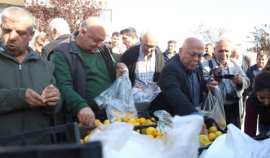 Mandalinanın fiyatı 2 TL’ye düşünce tonlarca ürünü yurttaşlara ücretsiz dağıttılar