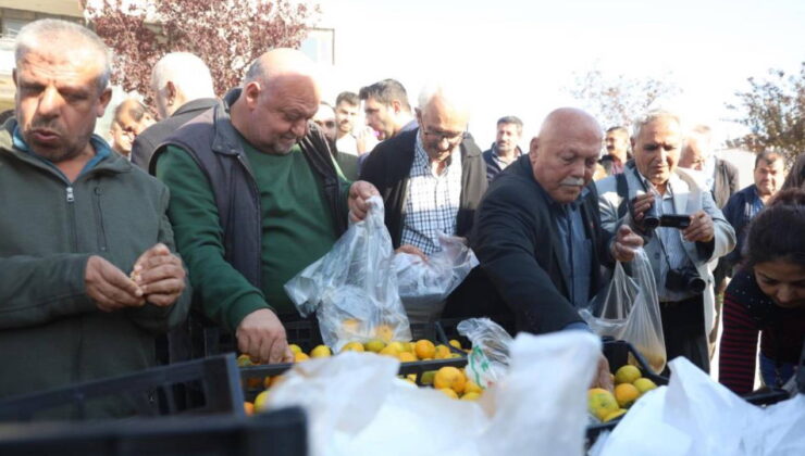 Mandalinanın fiyatı 2 TL’ye düşünce tonlarca ürünü yurttaşlara ücretsiz dağıttılar