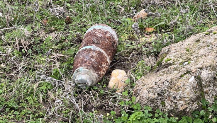 Mantar toplarken top mermisi buldular