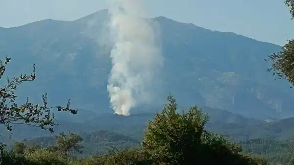 Muğla Seydikemer’de orman yangını