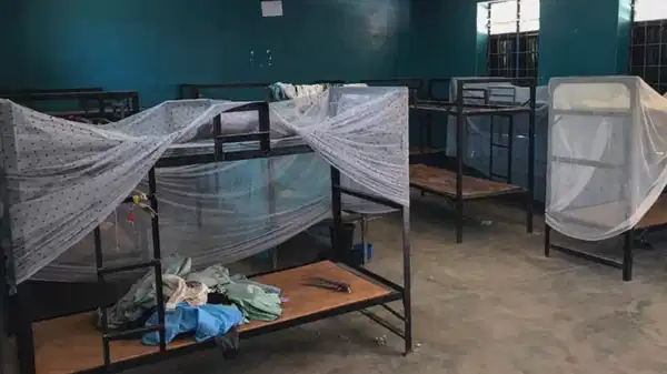 Nijerya’da okuldan kaçırılan 300 öğrenciden 50’si kaçtı