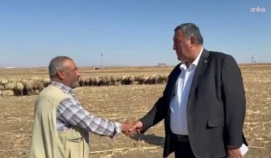 Ömer Fethi Gürer: ‘Hayvan varlığının azalmasıyla ortaya çıkan sorunlar ithalatla kapatılmaya çalışılıyor’