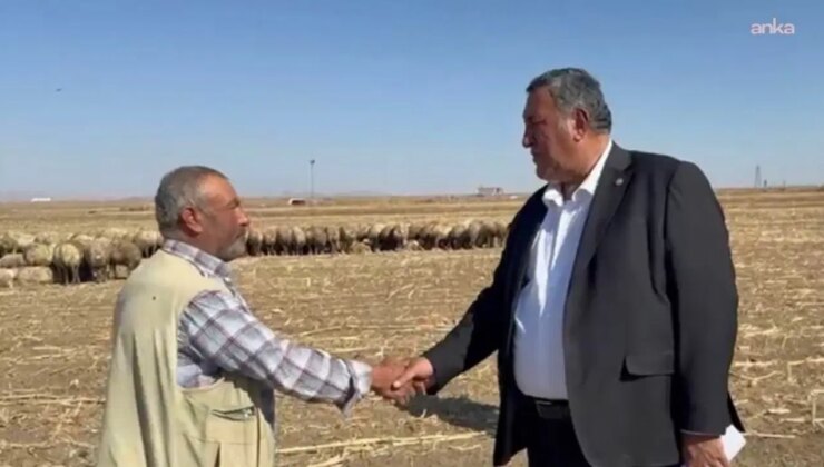 Ömer Fethi Gürer: ‘Hayvan varlığının azalmasıyla ortaya çıkan sorunlar ithalatla kapatılmaya çalışılıyor’