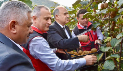 Ordu kivisinin hasadından ekonomiye 520 milyon TL katkı