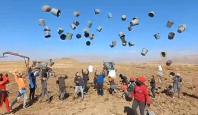 Patnos Ovası’nda hasat tamamlandı: 500 dönüm araziden bin 650 ton ürün elde edildi