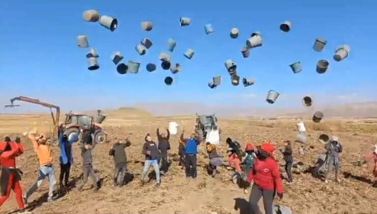 Patnos Ovası’nda hasat tamamlandı: 500 dönüm araziden bin 650 ton ürün elde edildi