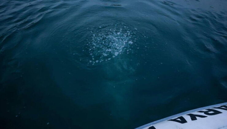 Sakarya ve Kocaeli’nin su kaynağında kabarcıklar ortaya çıktı: ‘Herkes korkuyor, rahat uyuyamıyoruz’