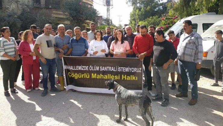 Samandağ Çöğürlü Mahallesi’nde taş ocağı işletmesine tepki: ‘Birçok vatandaşımızın tapulu arazisi gasp edilmiştir’