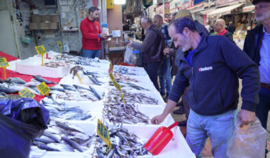 Samsun’da tezgahlardaki hamsi bolluğu sürüyor