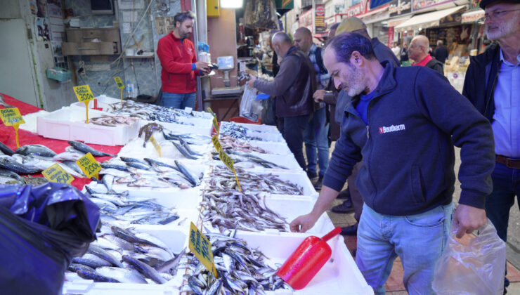 Samsun’da tezgahlardaki hamsi bolluğu sürüyor