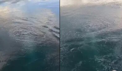 Sapanca Gölü’nde ‘kabarcık’ endişesi: Uzmanından açıklama geldi!