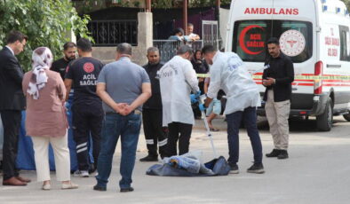 Silah tutukluk yaptı, yeniden doldurup öldürdü