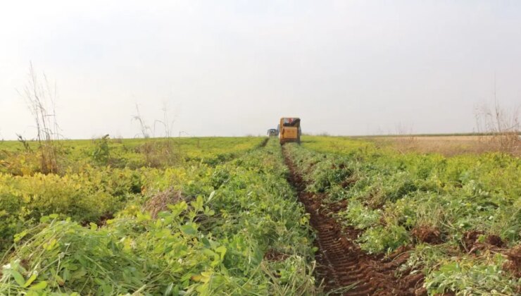 Şırnak’ta hasat başladı: Üretimde üçüncü sırada…