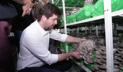 Tarsus’ta ilk hasat sevinci: Pazar talebi yüksek, düşük maliyetli!