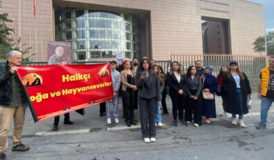 Tepkiler sonuç verdi… Bakırköy Adliyesi’nde ‘kedilerin sürülmesi’ kararı geri çekildi: ‘Kedi evleri yapılacak’