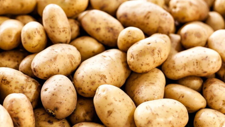 Ticaret Bakanlığı’ndan ‘patates fiyatı’ açıklaması!