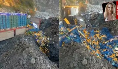 Toprak da zehirlendi: Zehirli mandalinayı toprağa gömdüler: ‘Halk sağlığı böyle mi korunur?’