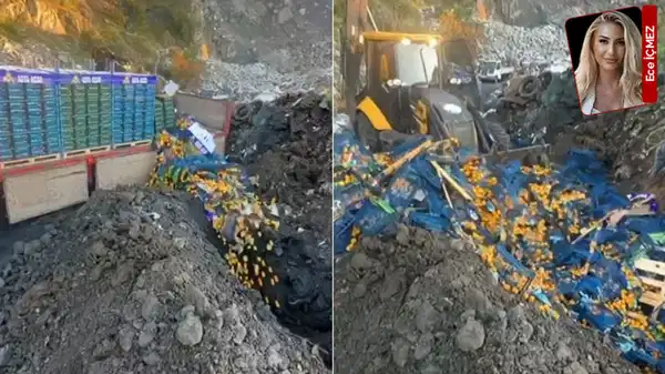 Toprak da zehirlendi: Zehirli mandalinayı toprağa gömdüler: ‘Halk sağlığı böyle mi korunur?’