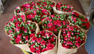 Türkiye’nin çiçek ihracatındaki çeşitliliğin arttırdı