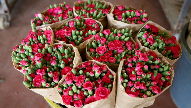 Türkiye’nin çiçek ihracatındaki çeşitliliğin arttırdı