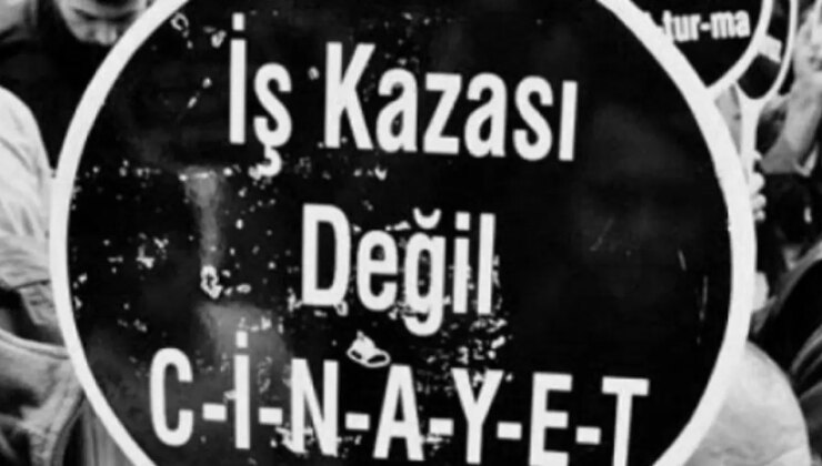 Üzerine ağaç devrilen kesim işçisi öldü