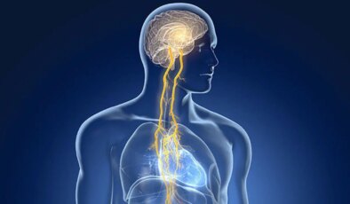 Vagus siniri nedir, nasıl rahatlatılır?