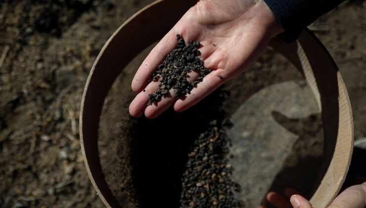 Van’da 5 bin yıllık karbonlaşmış arpa taneleri bulundu